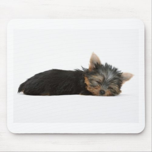 Yorkie Puppy Sleeping Mouse Pad