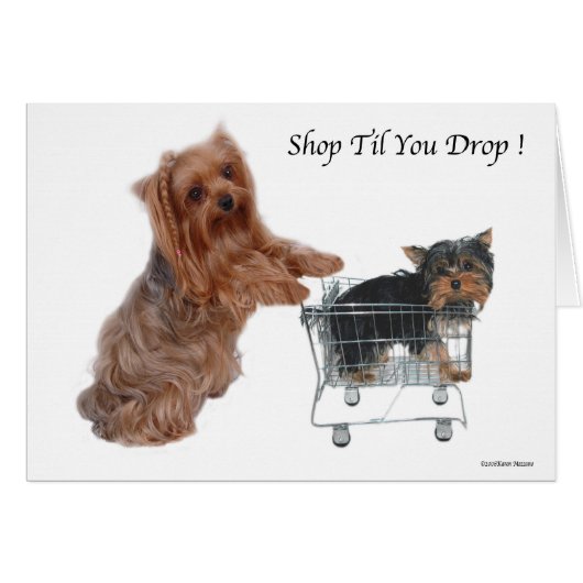 Yorkie Shop Til You Drop Cards (Front Horizontal)