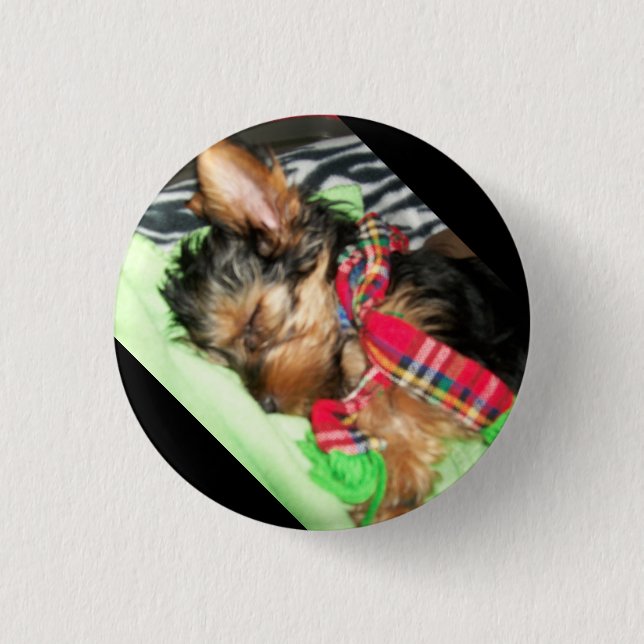 Yorkie Snuggle Button (Front)