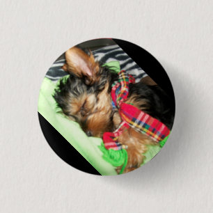 Yorkie Snuggle Button