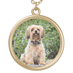 Yorkie - Spike Gold Plated Necklace