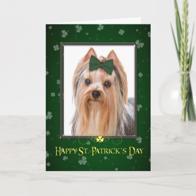 Yorkie St. Patrick's Day Card (Front)