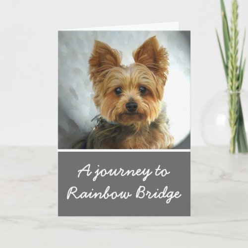 Yorkie sympathy card