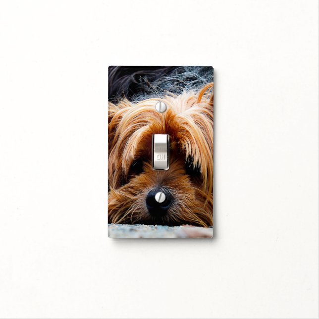 Yorkie Terrier Dog Puppy Light Switch Plate Cover (In Situ)