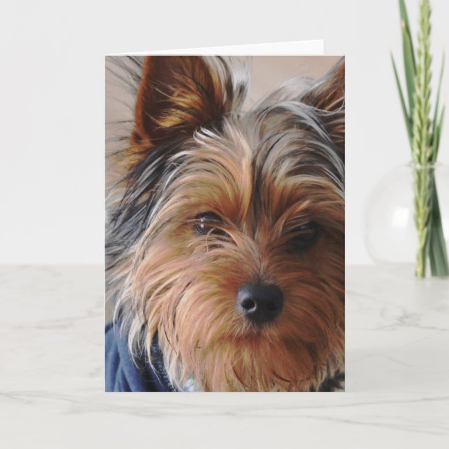 Yorkie Terrier Greeting Card (Front)