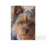 Yorkie Terrier Greeting Card