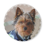 Yorkie Terrier  Magnet