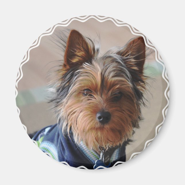 Yorkie Terrier  Magnet (Front)
