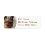 Yorkie Terrier  Mailing Label