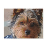 Yorkie Terrier  Postcard