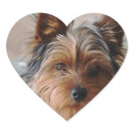 Yorkie Terrier  Sticker