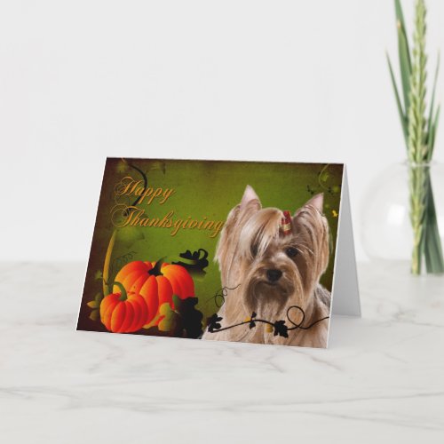 Yorkie Thanksgiving Card