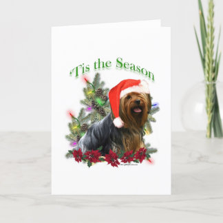Yorkie 'Tis the Season Holiday Card