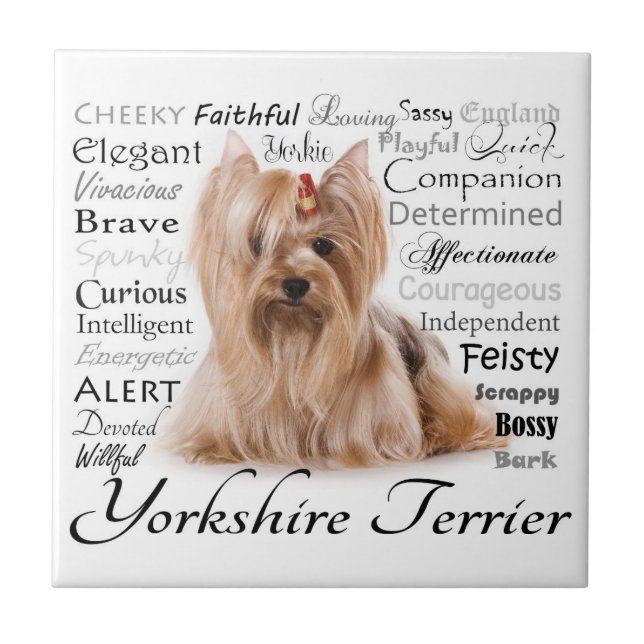 Yorkie Traits Tile (Front)