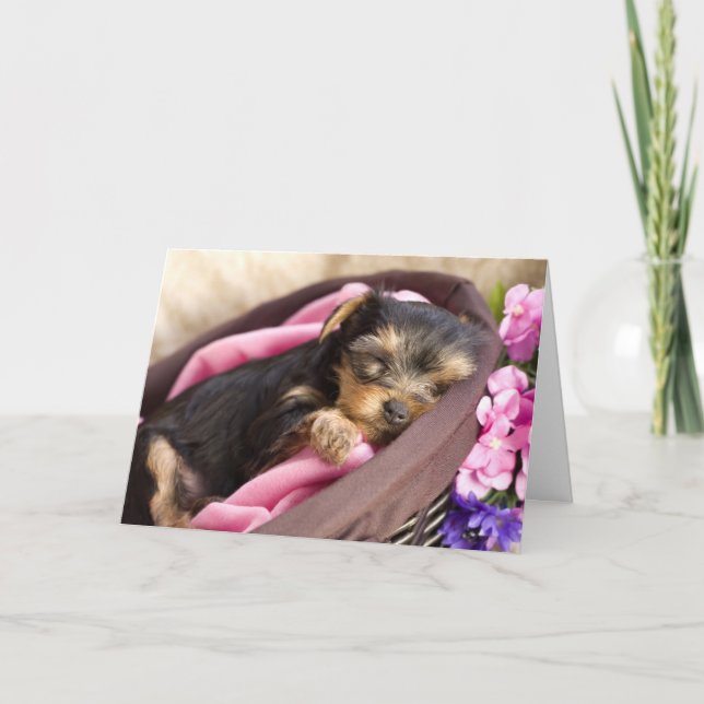 Yorkie Valentine Card (Front)