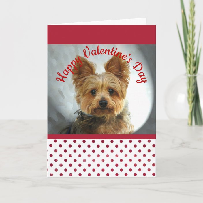 Yorkie Valentine Holiday Card | Zazzle.com