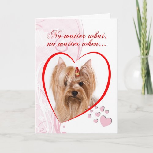 Yorkie Valentine Holiday Card