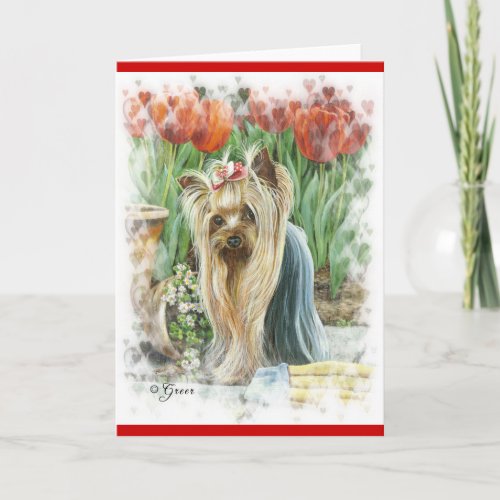 Yorkie Valentine Tulips and Hearts Holiday Card