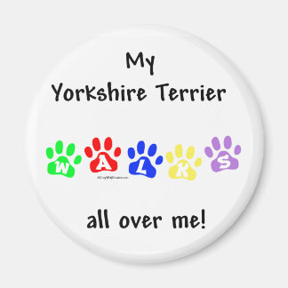 Yorkie Walks All Over You - Magnet