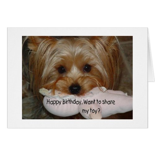 YORKIE WANTS TO SHARE TOY ON YOUR BIRITHDAY