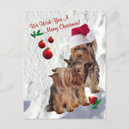 Yorkie We Wish You A Merry Christmas Postcard 2