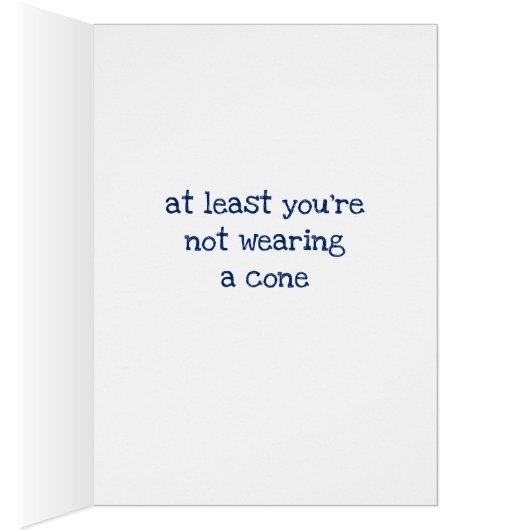 Yorkie Wearing Cone of Shame (Inside (Right))