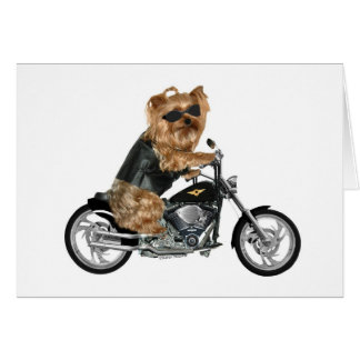 Yorkie Yorkshire Terrier Biker Cards