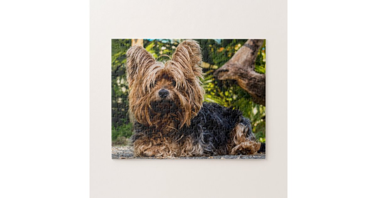 Yorkie Yorkshire Terrier Dog Jigsaw Puzzle Zazzle