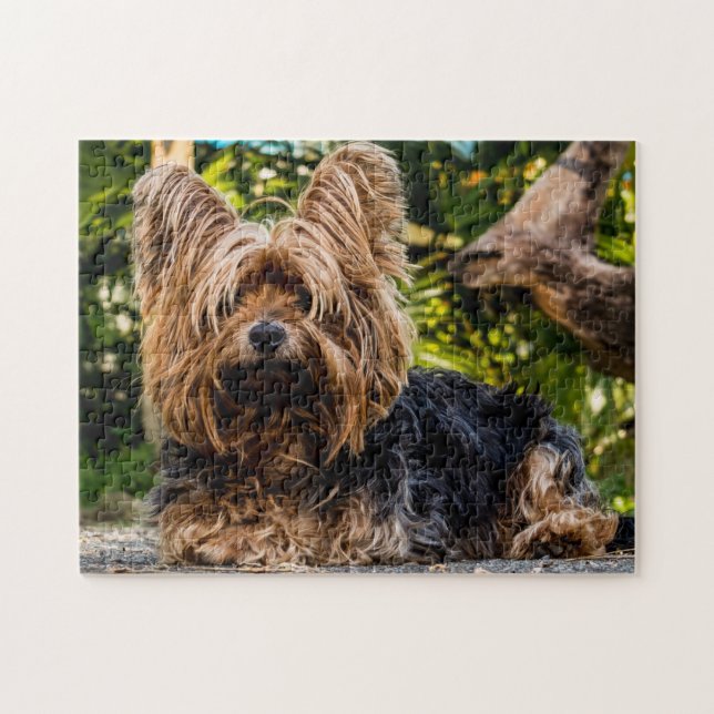 Yorkie Yorkshire Terrier Dog Jigsaw Puzzle (Horizontal)