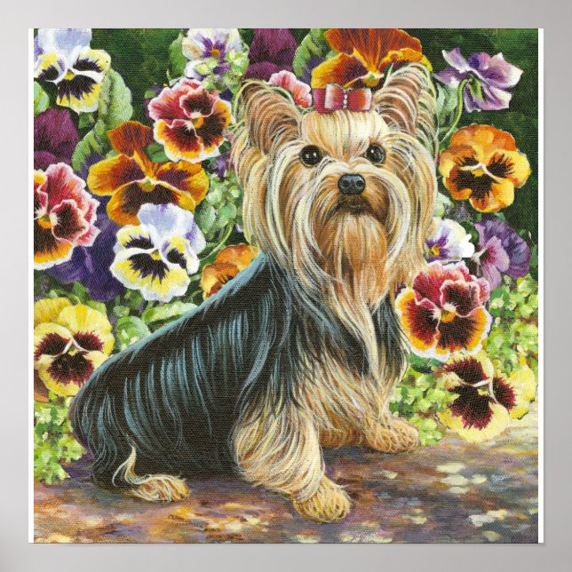 Yorkie Yorkshire Terrier in the Pansies Print (Front)
