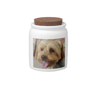 Yorkie Zac Candy Jar