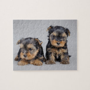 Yorkies Jigsaw Puzzle