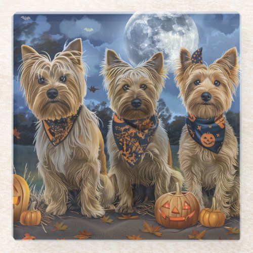 Yorkipoo Halloween Spooky  Glass Coaster