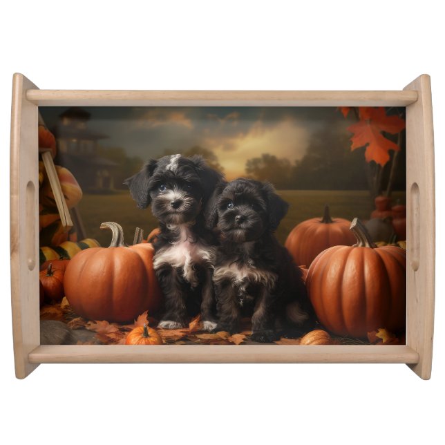 Yorkipoo Puppy Autumn Delight Pumpkin Serving Tray (Front)