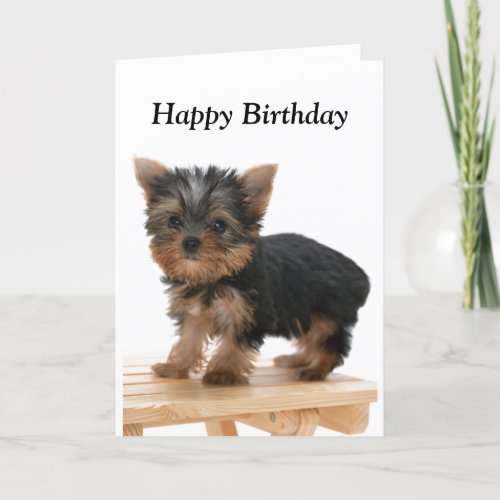 Yorkkkshire Terrier dog puppy custom card