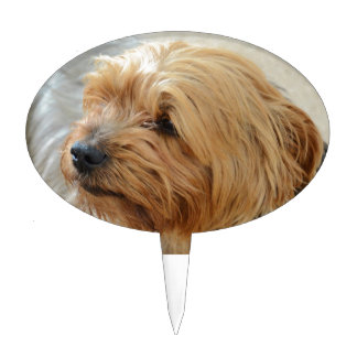 Yorkkshire Terrier Jake Cake Topper