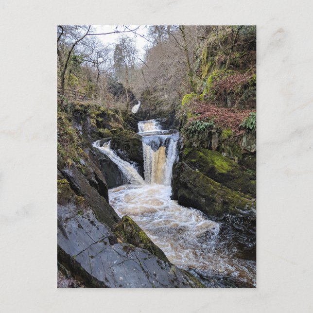 Yorkshire Dales, Ingleton - Pecca Falls Postcard (Front)