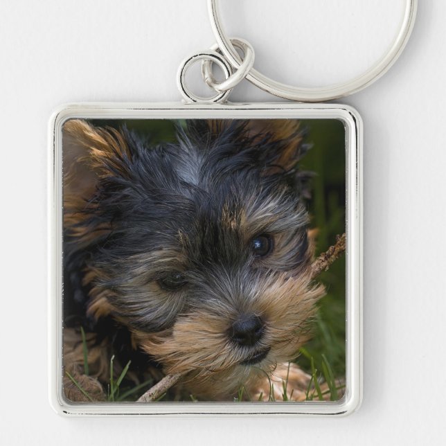 Yorkshire Keychain (Front)