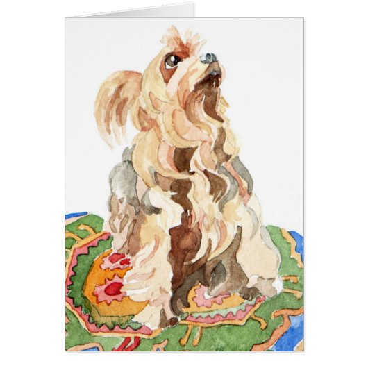 Yorkshire terrier 2012 cards (Front)
