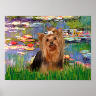 Yorkshire Terrier 7 - Lilies 2 Poster