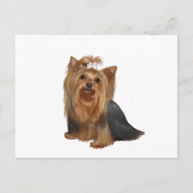 Yorkshire Terrier (7) Postcard (Front)