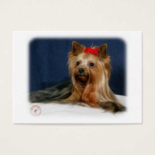 Customizable Yorkshire Terrier 9Y110D-064 Business Card