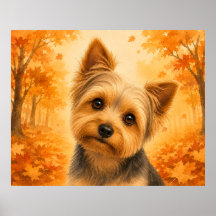 Yorkshire Terrier Autumn Forest Dog