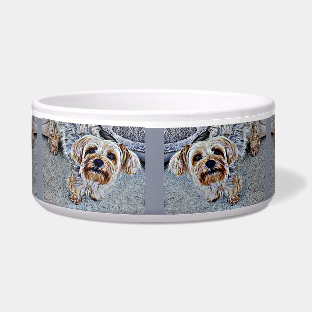 Yorkshire Terrier Bowl (Front)