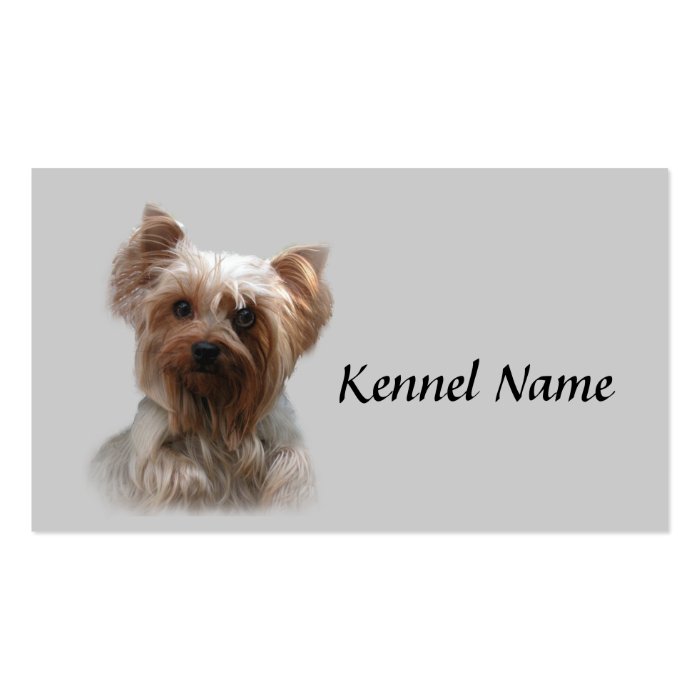 Yorkshire Terrier Breeder Business Card