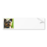 Yorkshire Terrier Bumper Stickers