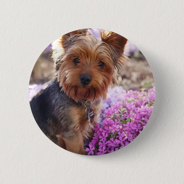 Yorkshire Terrier Button (Front)