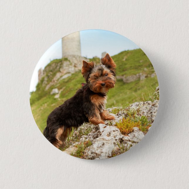 Yorkshire Terrier Button (Front)