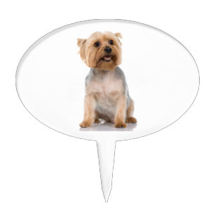 Yorkshire Terrier Cake Topper