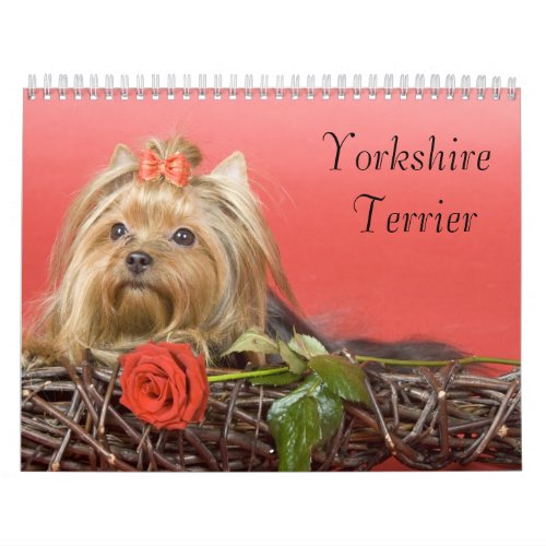 Yorkshire Terrier Calendar